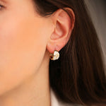 Cetaş Polaris 14 Ayar Altın Küpe - Nur Kuyumculuk